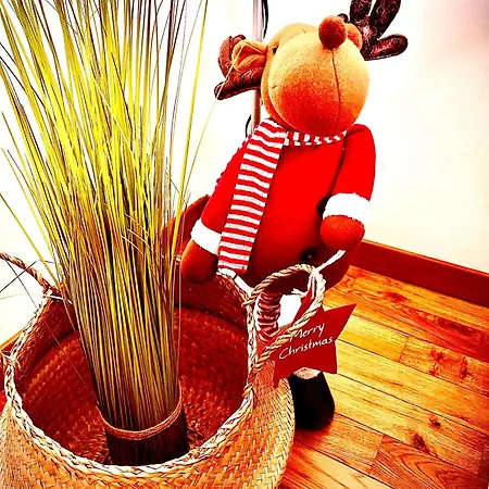 Casa Carina - La Tua Casa A Due Passi Dal Centro Di * بيرودجا