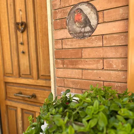 Casa Carina - La Tua Casa A Due Passi Dal Centro Di بيرودجا